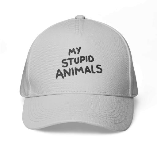 classic-baseball-cap-light-grey-front-6499d7519f8f4.png