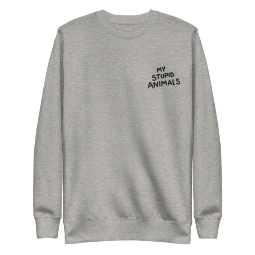 unisex-premium-sweatshirt-carbon-grey-front-6498b588c7e13.png