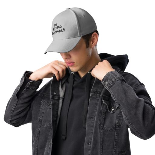 classic-baseball-cap-light-grey-left-front-6499d7519f9e2.png