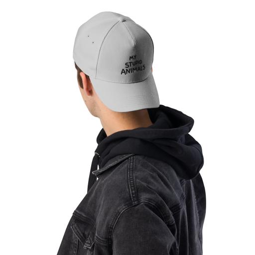 classic-baseball-cap-light-grey-front-6499d7519f983.png