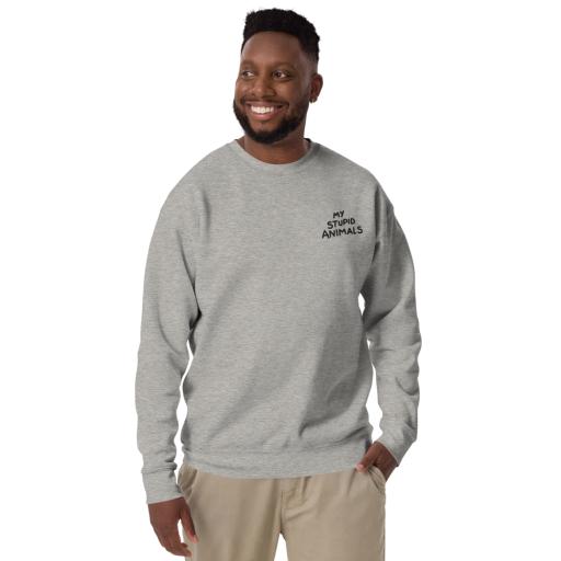 unisex-premium-sweatshirt-carbon-grey-front-6498b588c87c3.png